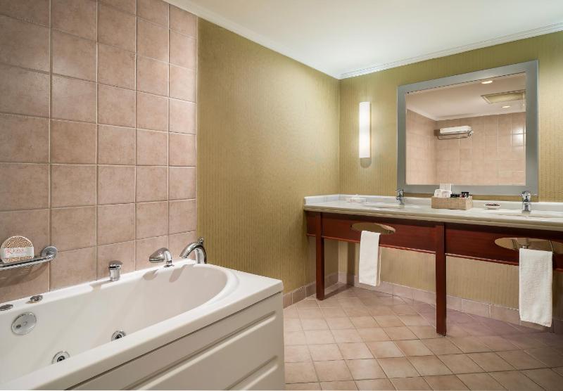 Executive King Suite image 2