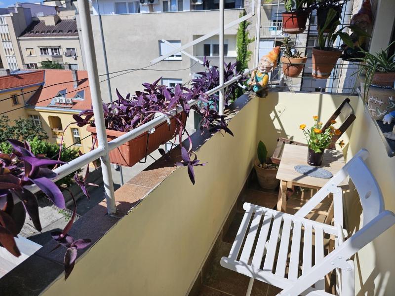 Apartman Didi - image 15