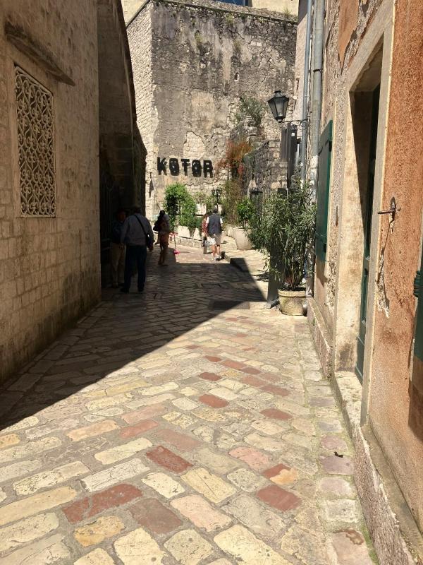 Deluxe One-Bedroom Apartment image 4