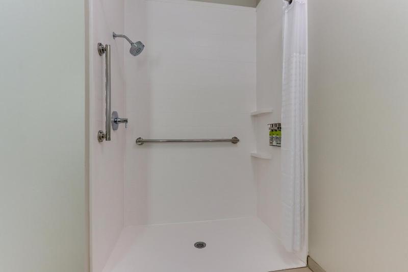 Standard King Room with Roll-In Shower - Communications Access image 4
