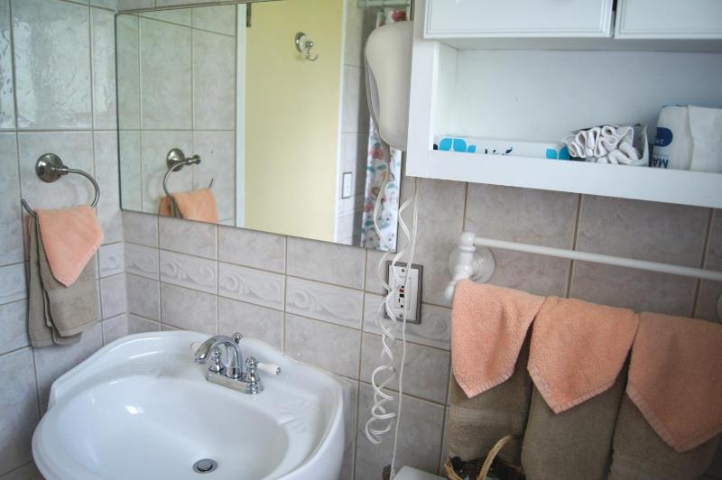 Standard Double Room image 2