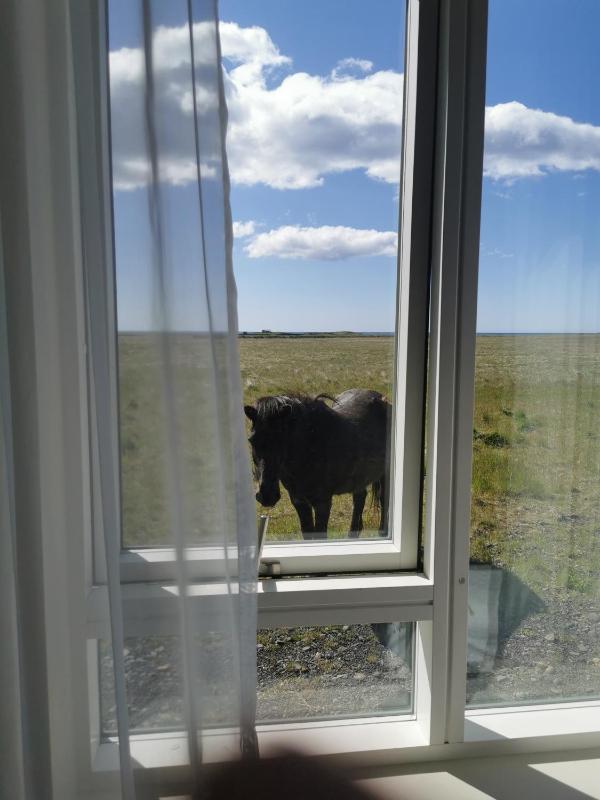 Standard Double Room with Sea View image 3