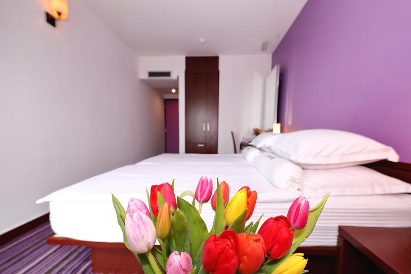 Comfort Twin Room image 2