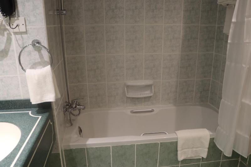 Deluxe Double Room image 4