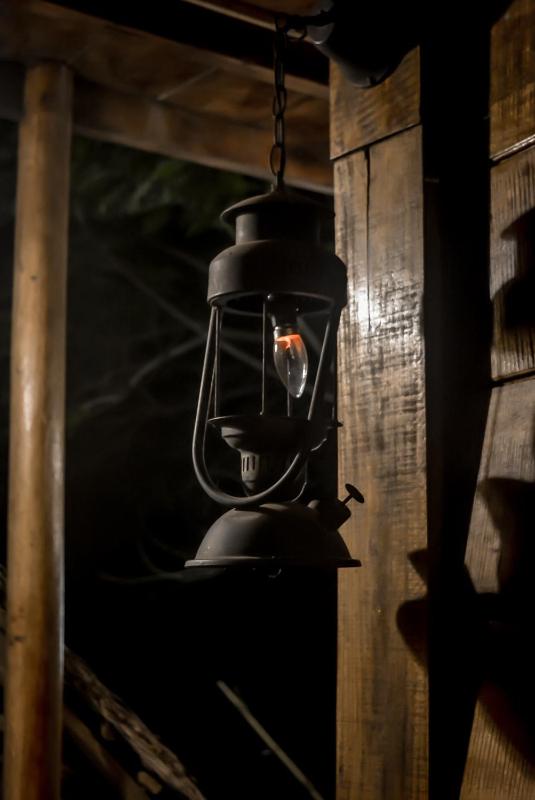 Hostal Tree House - image 13