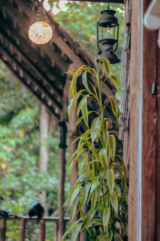 Hostal Tree House - image 8