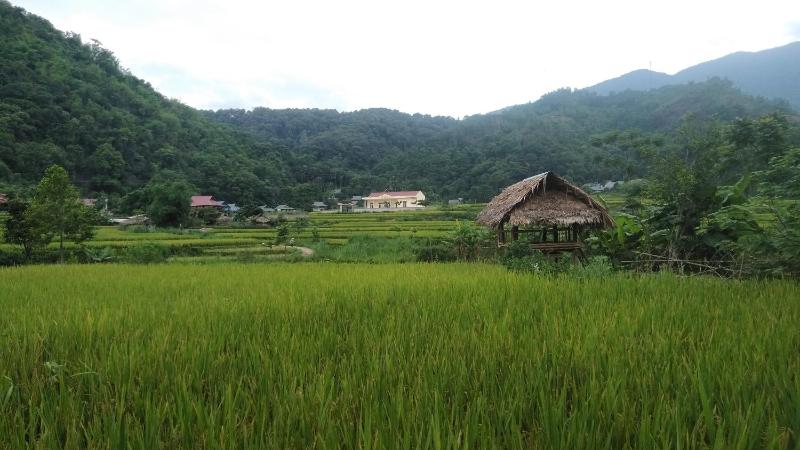 Puluong Aroma - image 13