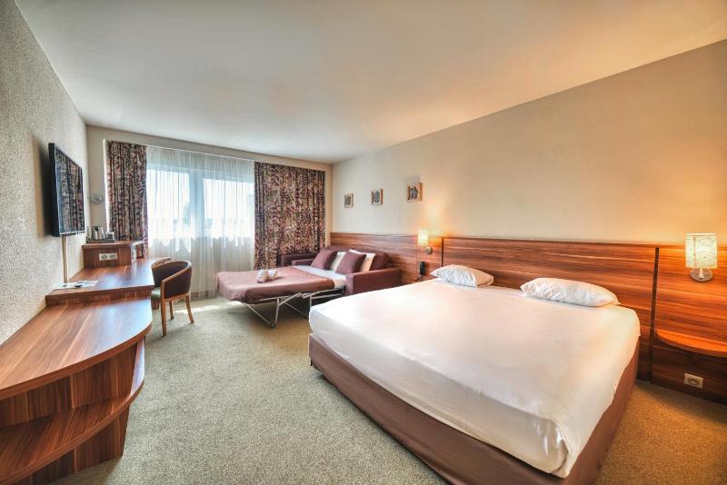 Executive Room - 1 Room - 1 King Bed 1 Sofa Bed image 1