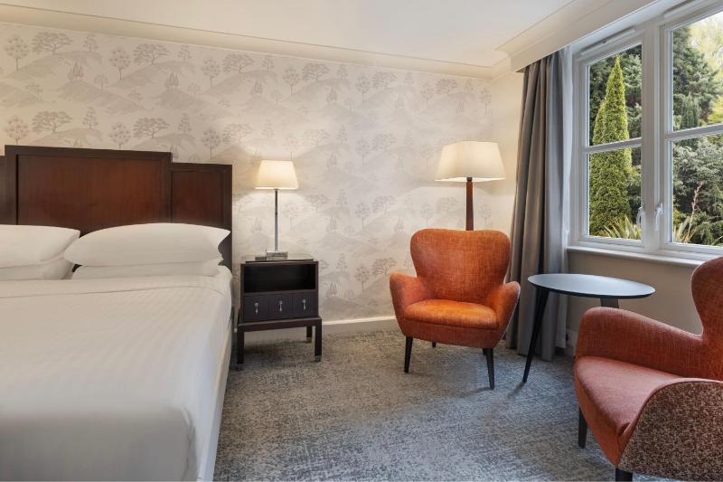 Junior King Suite image 3