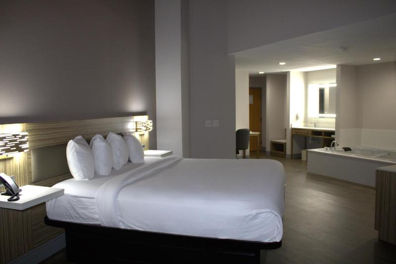Deluxe King Studio Suite - Non-Smoking image 3