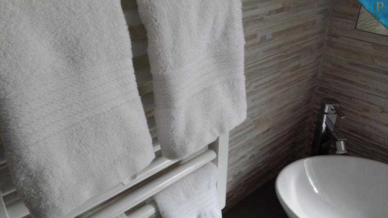 Deluxe Double or Twin Room image 4