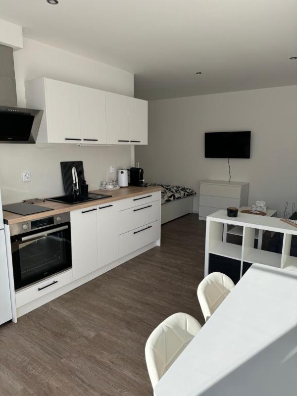 RK Apartment Brno - image 3