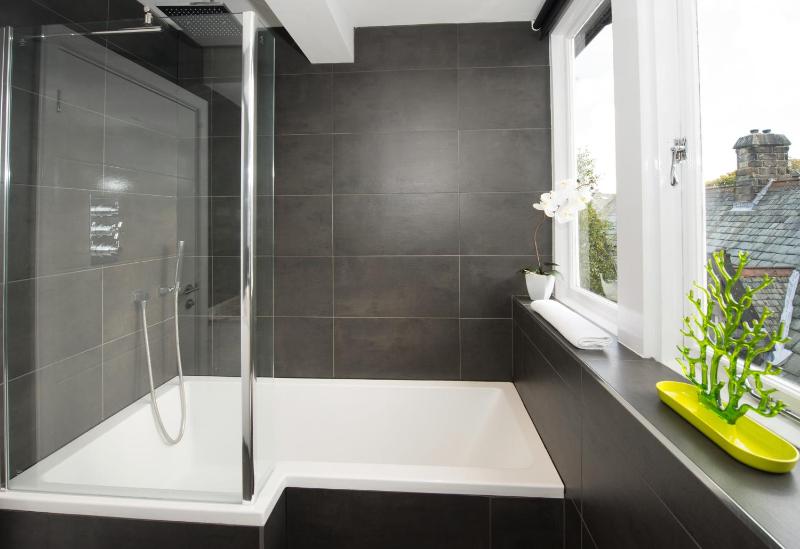 Luxury Two-Bedroom Apartment - Rooftops image 4