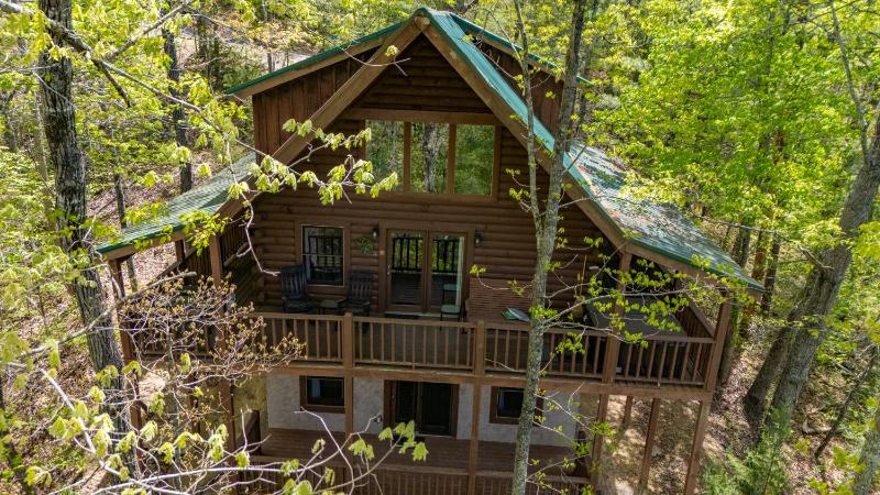 George's Treehouse - image 33