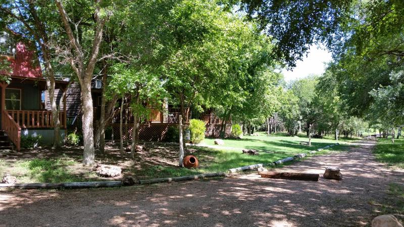 Olive Cabin - image 14