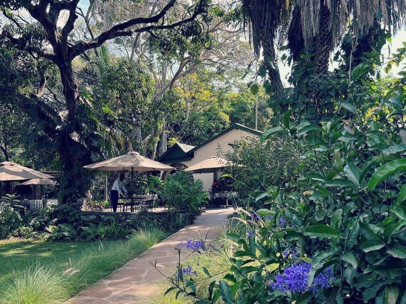 Mount Meru Game Lodge - image 8
