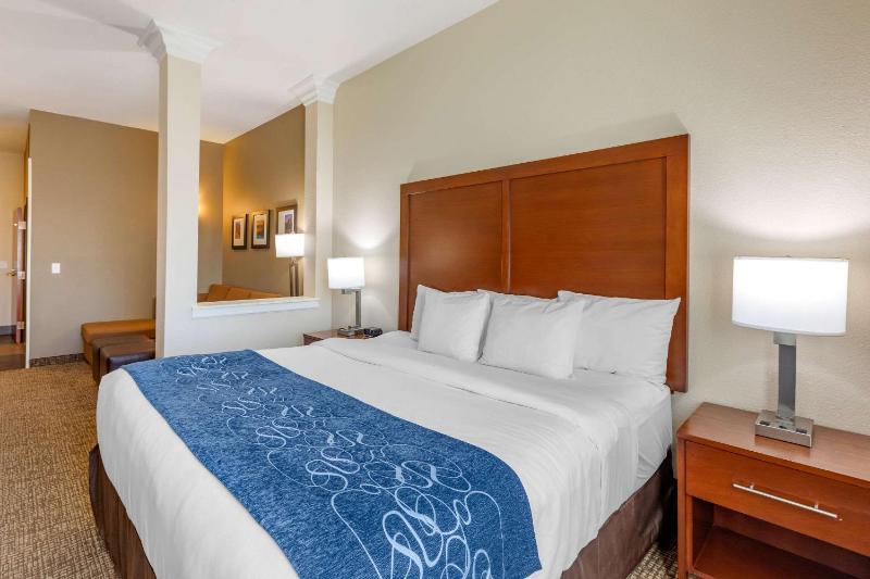 Comfort Suites Near Denver Downtown - image 9