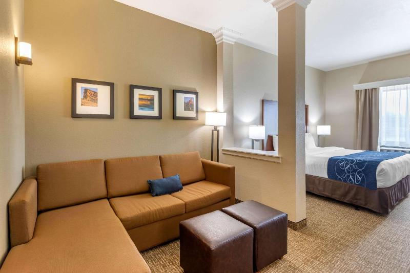 Comfort Suites Near Denver Downtown - image 33