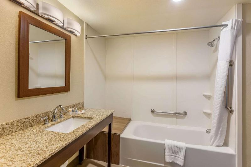 Comfort Suites Near Denver Downtown - image 37