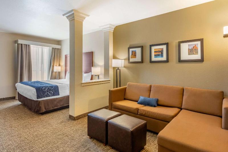 Comfort Suites Near Denver Downtown - image 5