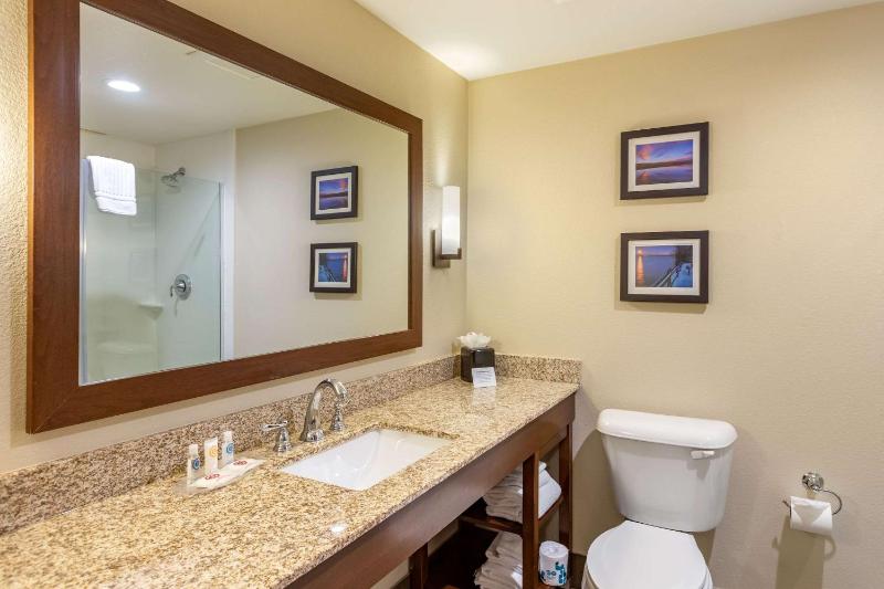 King Suite with Sofa Bed image 2