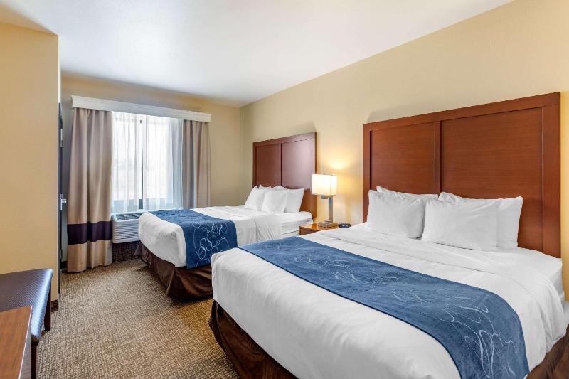 Comfort Suites Near Denver Downtown - image 43