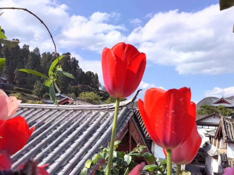 Meiliju Snow view Inn Lijiang Ancient Town - image 43