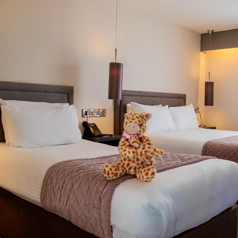 Twin Room image 1