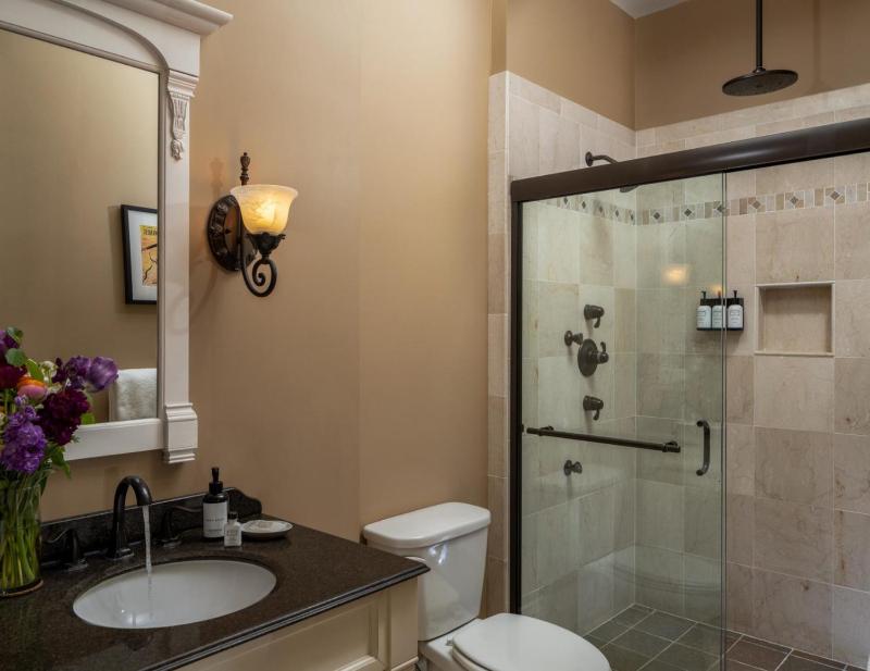 Deluxe King Suite image 4
