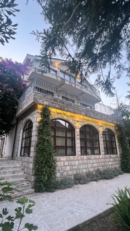 Villa Sazanka with private pool - image 9