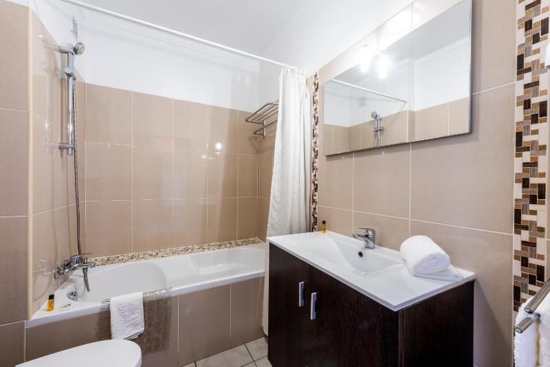 One-Bedroom Apartment image 3