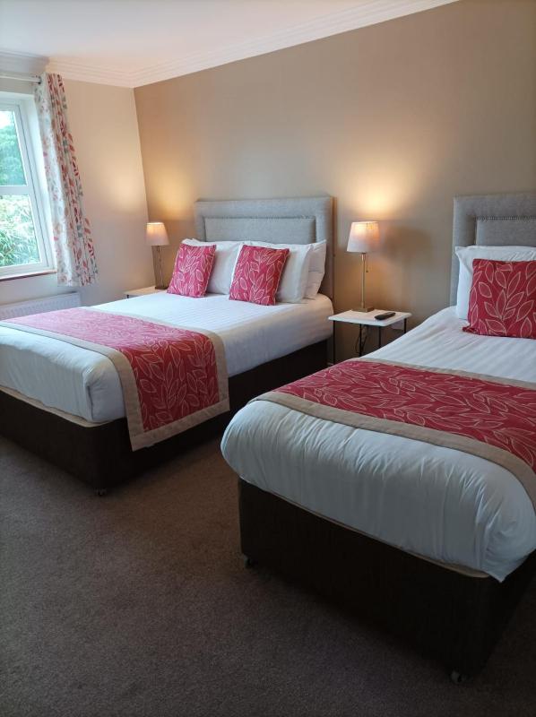 Deluxe Triple Room image 4
