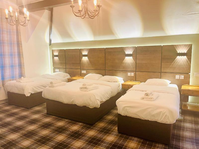 Luxury Quadruple Room image 1