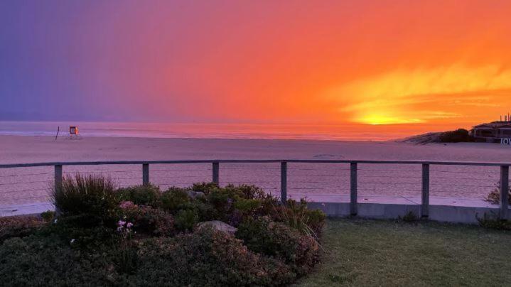 The Plett Shed - image 16