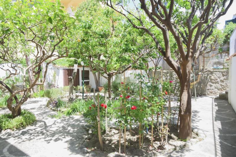Hotel Cesotta - image 16