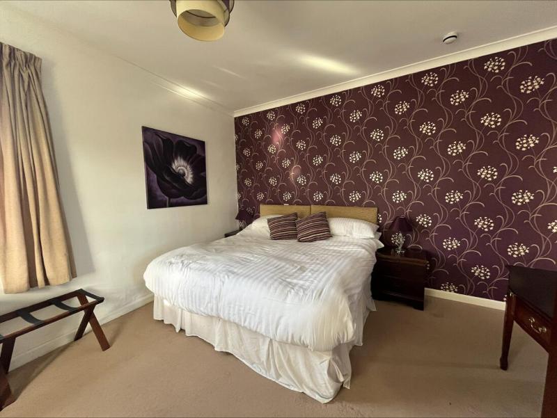 Deluxe Double Room image 4