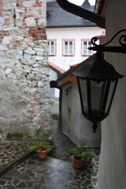 Pension U Zámku - image 2