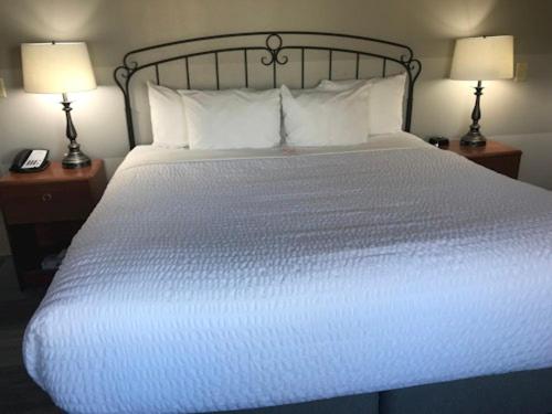 Superior King Room image 3