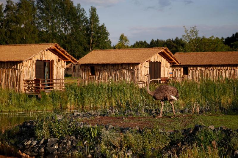 Masai Mara Lodge (excl. park entrance fee)  image 4