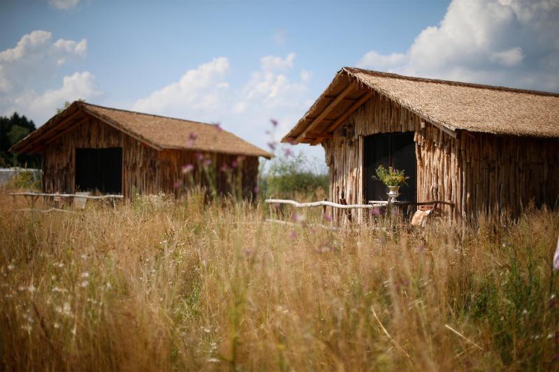Masai Mara Lodge (excl. park entrance fee)  image 3
