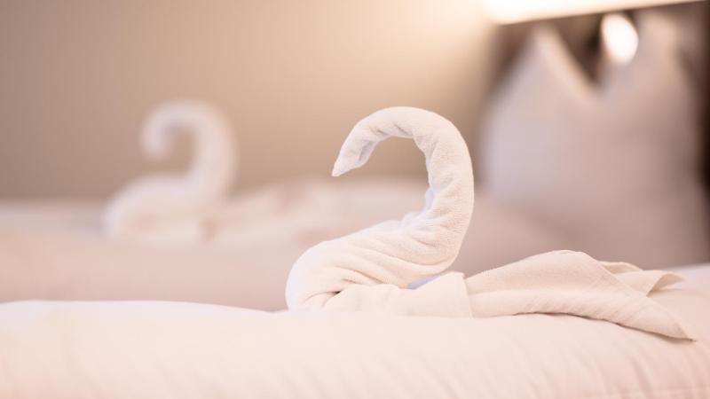 Standard Single Room image 2
