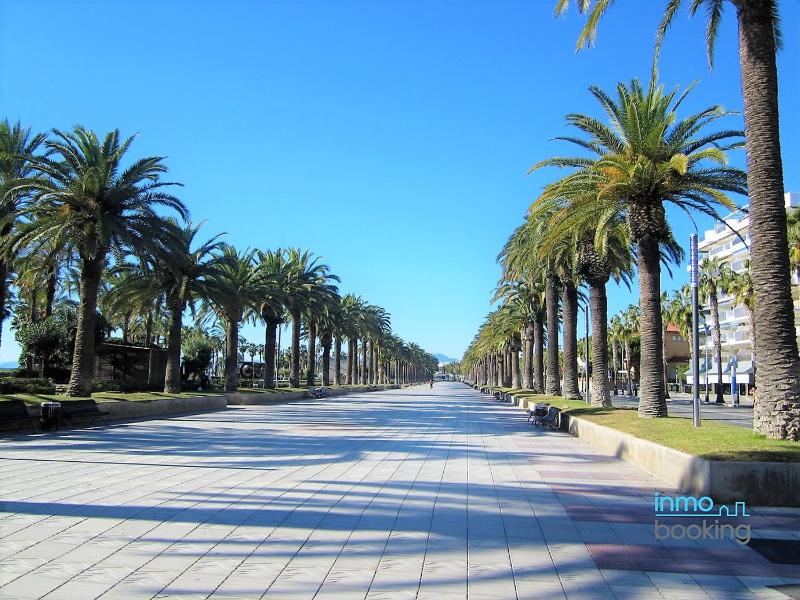 Tenorfleta Salou playa - image 19