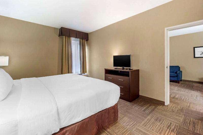 Comfort Inn & Suites Sea-Tac Airport - image 7
