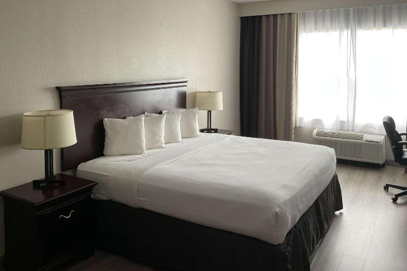 One-Bedroom King Suite image 4
