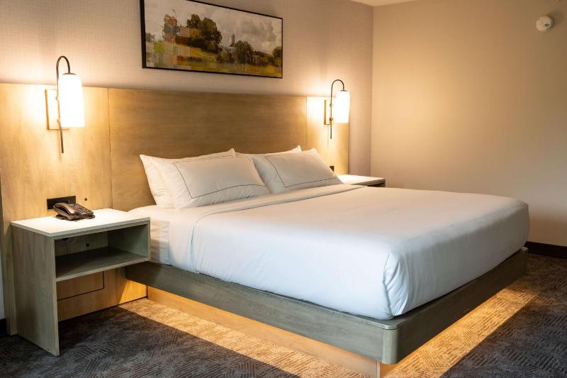 King Room image 1