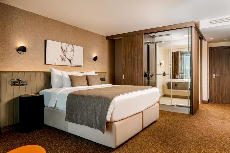 Business Double or Twin Room image 3