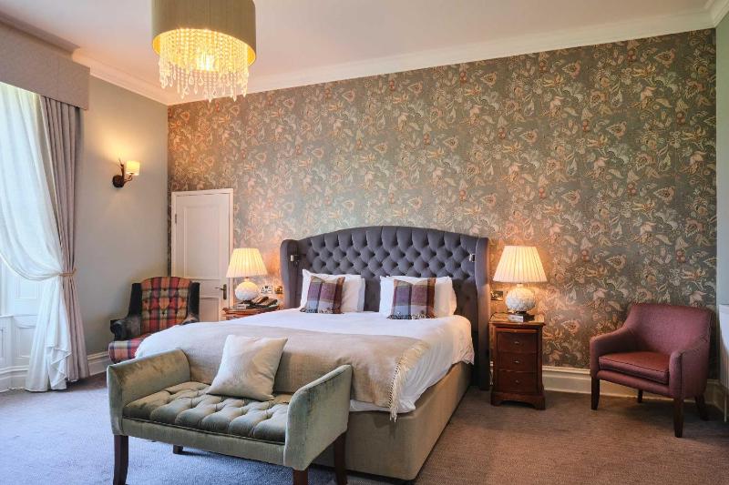 Deluxe King Room image 1