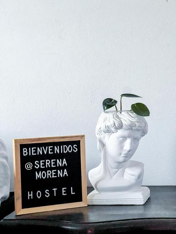 Serena Morena - image 12