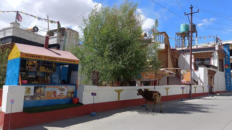 Heritage Chubi - image 5