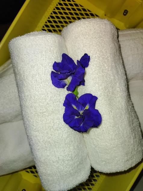 Canaan Beauty Farm B&B - image 26